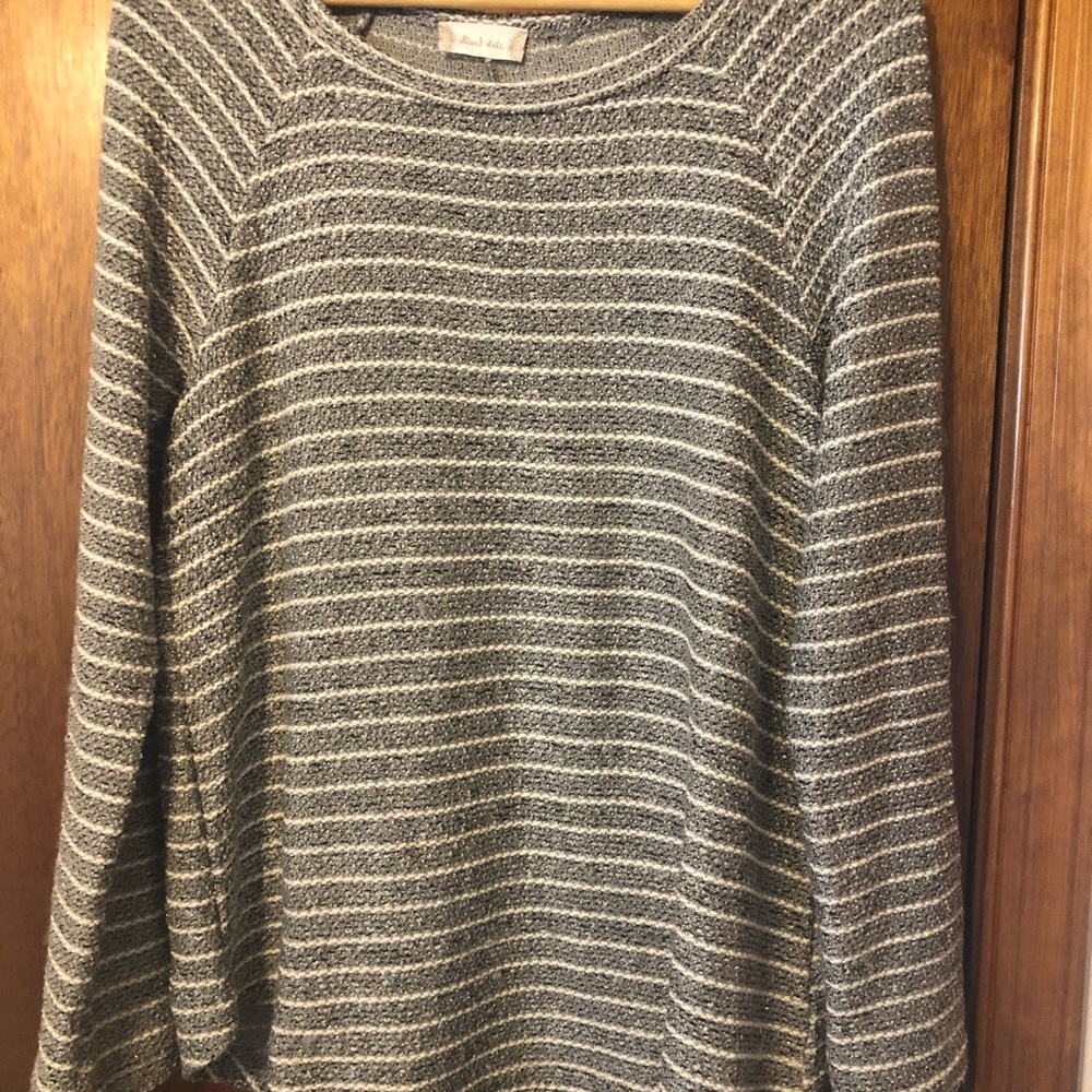 Shimmer striped Altar’d State sweater